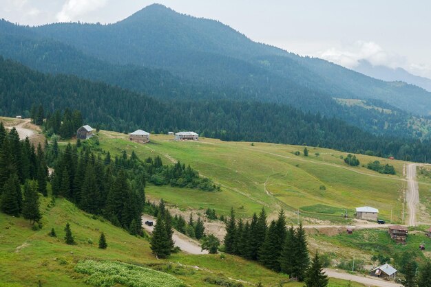 Paysage de montagne géorgien avec une route de campagne vue sur les bois