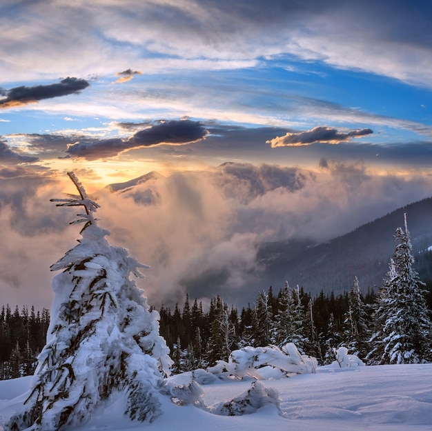 Paysage de montagne hiver coucher de soleil des Carpates