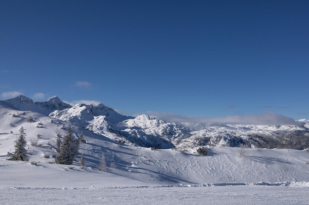 Paysage de montagne d'hiver dans les Alpes