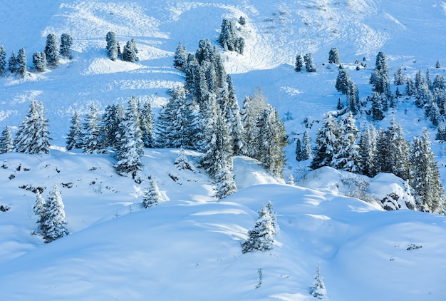 Paysage de montagne d'hiver avec sapin enneigé sur la pente.