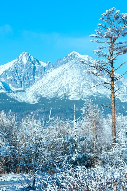 Paysage de montagne d'hiver. Tatras occidentales