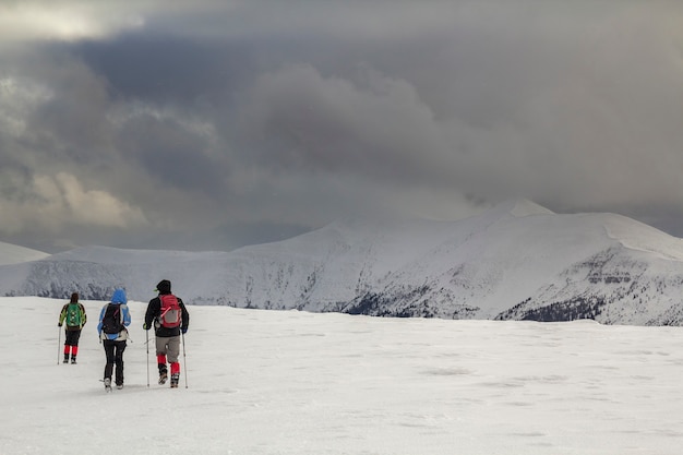 Paysage de montagne d'hiver