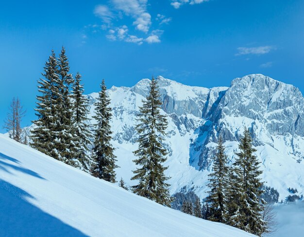 Photo paysage de montagne d'hiver