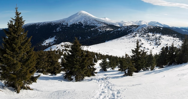 Paysage de montagne d'hiver