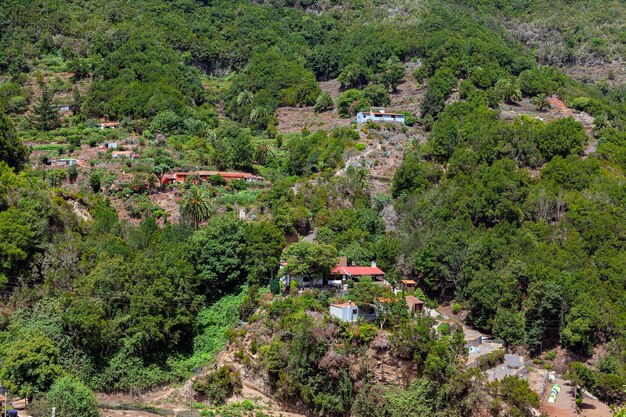 Paysage de montagne L'île de La Gomera Les îles Canaries