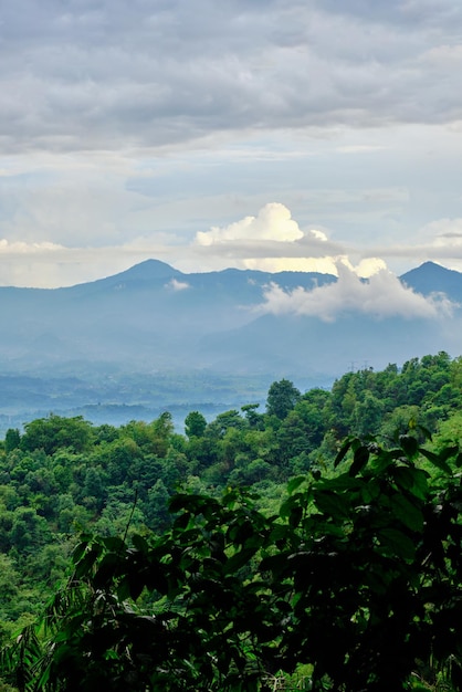 paysage de montagne magnifique et frais