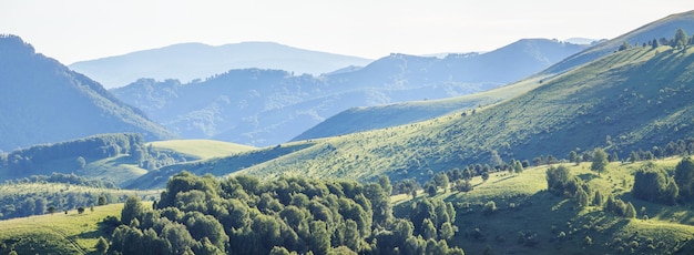 Paysage de montagne montagnes verdoyantes et collines brumeuses panoramique