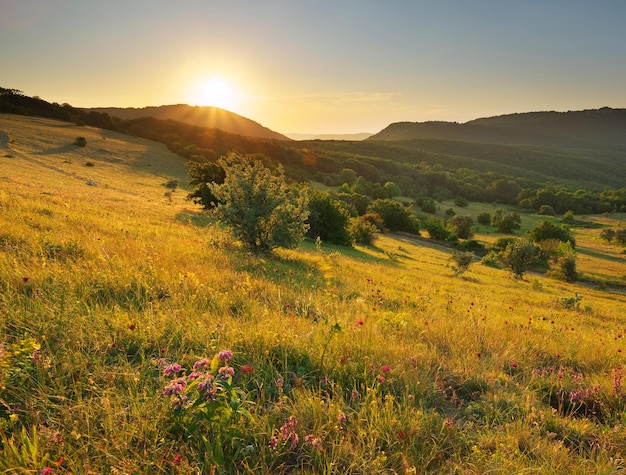 Paysage de montagne nature