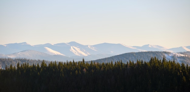 Paysage de montagne panoramique avec hauts sommets enneigés et vallée boisée