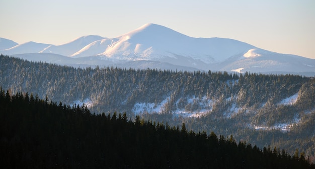 Paysage de montagne panoramique avec hauts sommets enneigés et vallée boisée