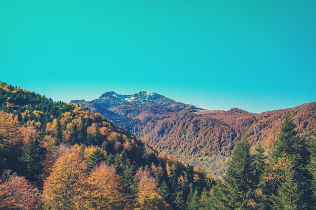 Paysage de montagne par une journée ensoleillée d'automne Vue des pentes des montagnes Station de station de ski Les Monts d'Olmes France Europe