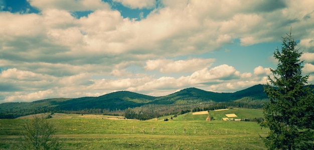 Paysage de montagne par une journée ensoleillée en automne Vue sur la vallée de la montagne et le chemin de terre Beau paysage naturel Montagnes des Carpates Ukraine