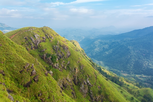 Photo paysage de montagne, pentes vertes. beauté des montagnes. petit pic adam, montagne dans le brouillard vue depuis la jungle