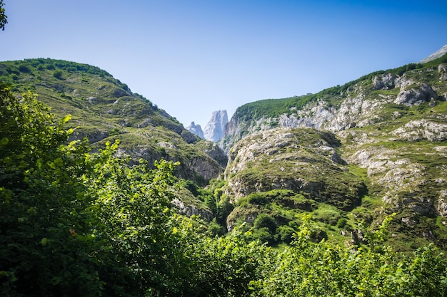 Paysage de montagne Picos de Europa Asturies Espagne