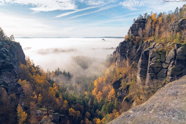 Paysage de montagne pittoresque en automne Ciel bleu brouillard arbres jaunes Suisse saxonne Allemagne