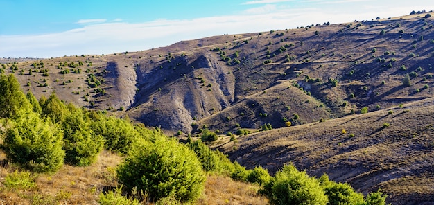 Paysage de montagne avec ravins et petits arbres avec de longues ombres.