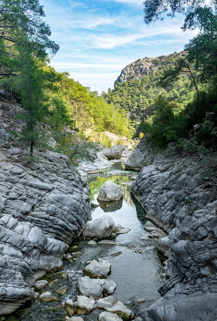 Paysage de montagne avec une rivière au lit rocheux