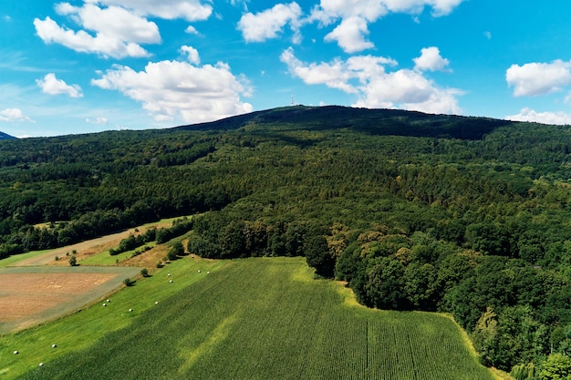 Paysage de montagne de Sleza. Vue aérienne des montagnes avec forêt.