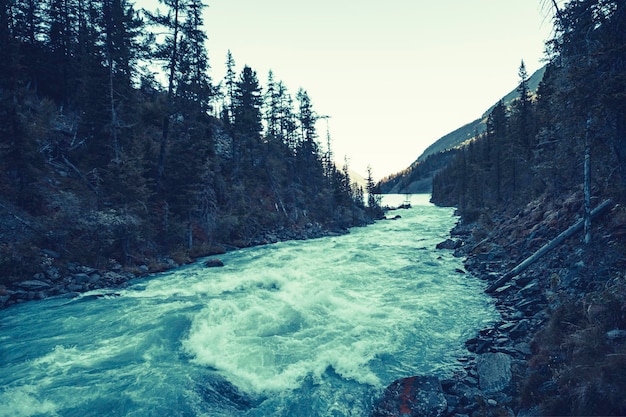 Paysage de montagne sombre avec rivière sur la rive opposée Rive caillouteuse de la rivière Couleur vert foncé de l'eau Atmosphère étrange par temps couvert et pluvieux dans des tons délavés cinématographiques Style d'horreur