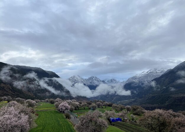 Un paysage de montagne avec une tente bleue au premier plan et une montagne enneigée en arrière-plan.