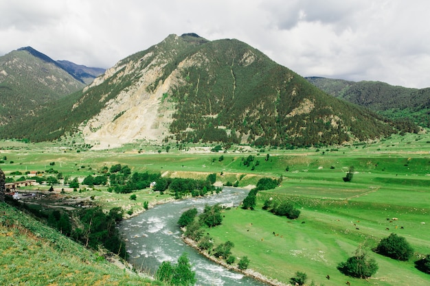 Paysage, montagne verte avec rivière sur la pente. Vallée verte avec rivière de montagne