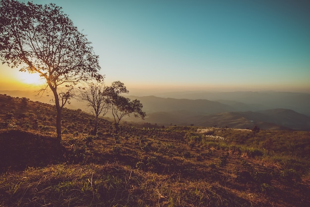 Paysage de montagne vintage au coucher du soleil. fond de nature