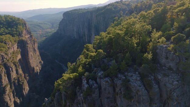 Paysage de montagne Vue aérienne par drone du grand canyon vert par temps ensoleillé Arbres verts et roches grises