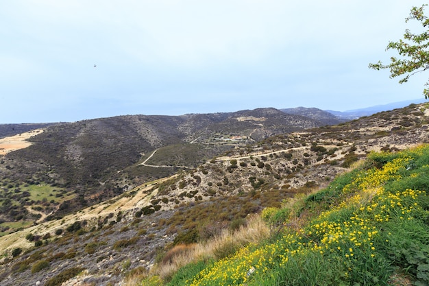 Paysage de montagne avec vue sur la forêt, la vallée