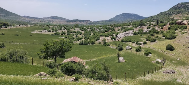 Paysage montagne vue herbe rochers et autres