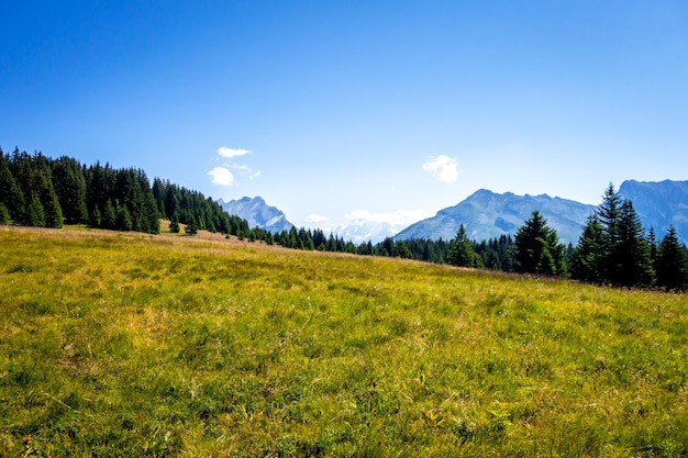 Paysage de montagne et vue sur le Mont Blanc à La Clusaz, Haute-savoie, France