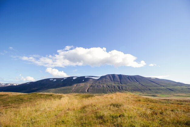 Paysage de montagne