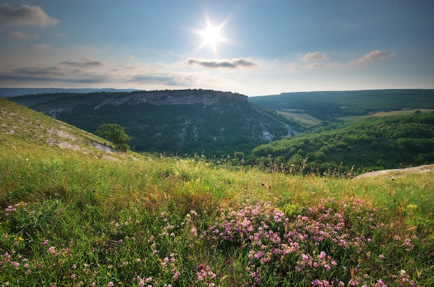 Paysage de montagne.