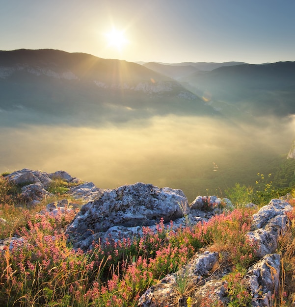 Paysage de montagne.