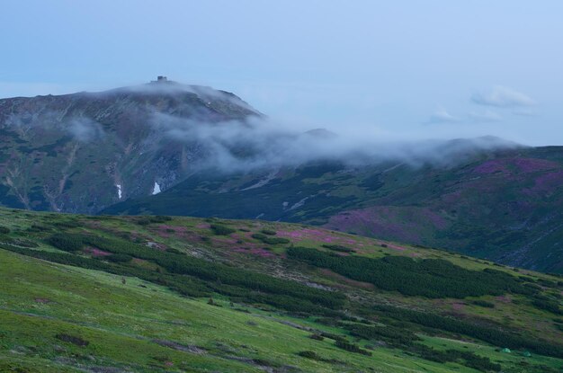 paysage de montagne