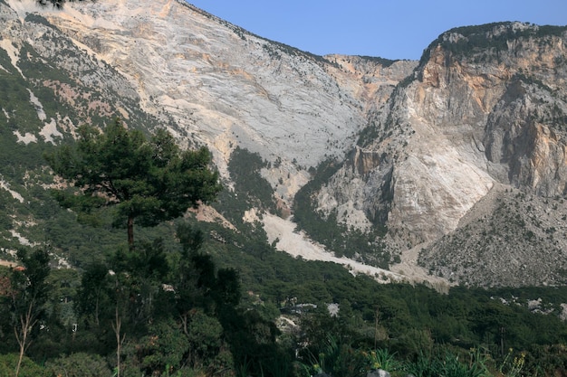 Paysage à la montagne