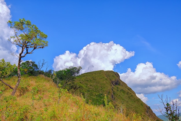 Paysage de montagne