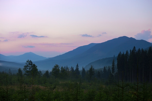 paysage de montagne