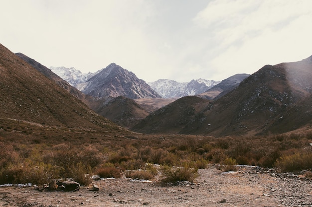 paysage de montagne