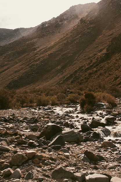 paysage de montagne