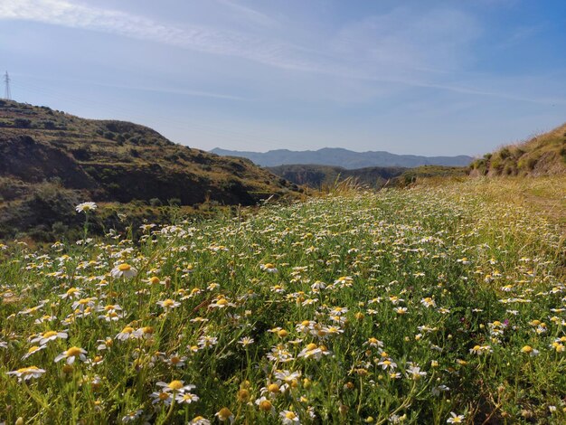 Photo paysage de montagne