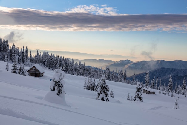 Paysage de montagnes alpines avec neige blanche et ciel bleu Arbres givrés sous la lumière du soleil Merveilleux paysage hivernal