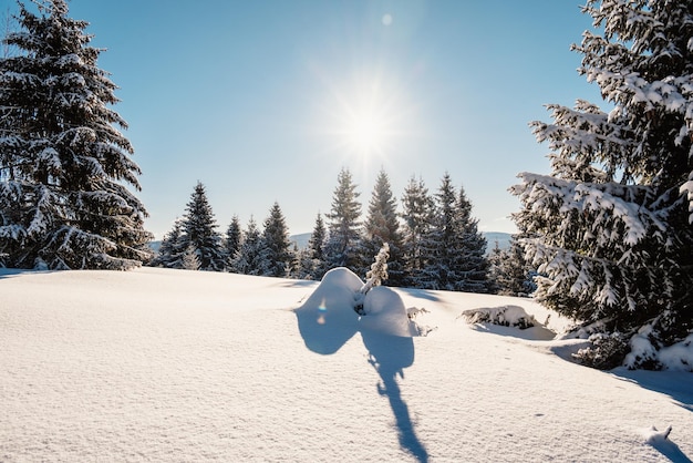 Paysage de montagnes alpines avec neige blanche et ciel bleu Coucher de soleil hiver dans la nature Arbres givrés sous la chaleur du soleil Randonnée hivernale à kralova hola paysage des basses tatras slovaquie
