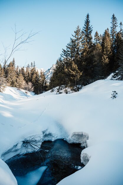 Paysage de montagnes alpines avec neige blanche et ciel bleu Coucher de soleil hiver dans la nature Arbres givrés sous la lumière du soleil Merveilleux paysage hivernal Hautes Tatras Slovaquie