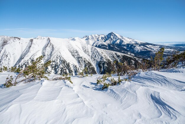 Paysage de montagnes alpines avec neige blanche et ciel bleu Coucher de soleil hiver dans la nature Arbres givrés sous la lumière du soleil Merveilleux paysage hivernal Western Tatras slovaquie