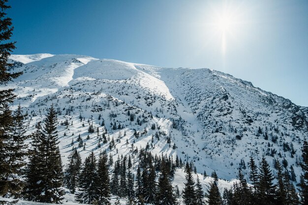 Paysage de montagnes alpines avec neige blanche et ciel bleu Coucher de soleil hiver dans la nature Arbres givrés sous la lumière du soleil Merveilleux paysage hivernal Western Tatras slovaquie