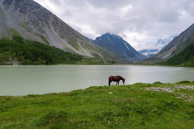 Paysage des montagnes de l&#39;Altaï.