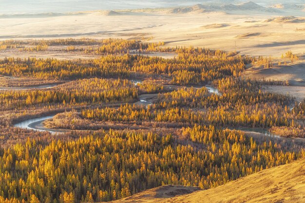 Le paysage des montagnes de l&#39;Altaï