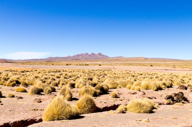 Paysage de montagnes boliviennes