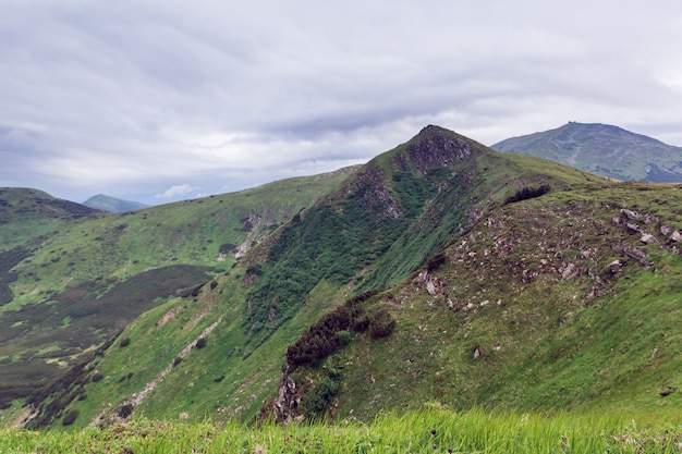 Paysage des montagnes des Carpates