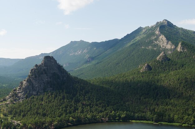 Paysage de montagnes couvertes d'été vert forêt de conifères